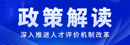 政策解读